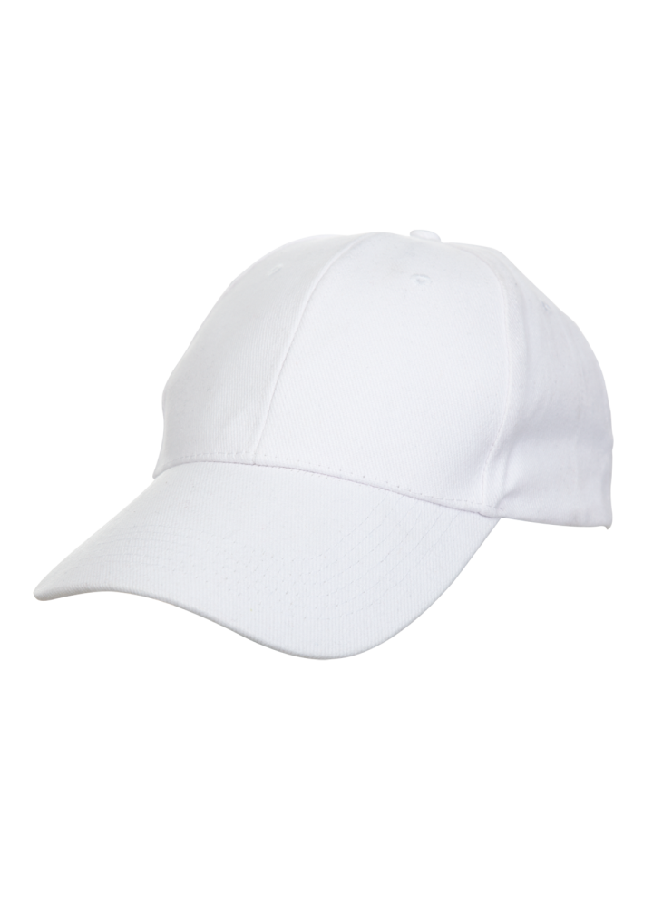 CP0100